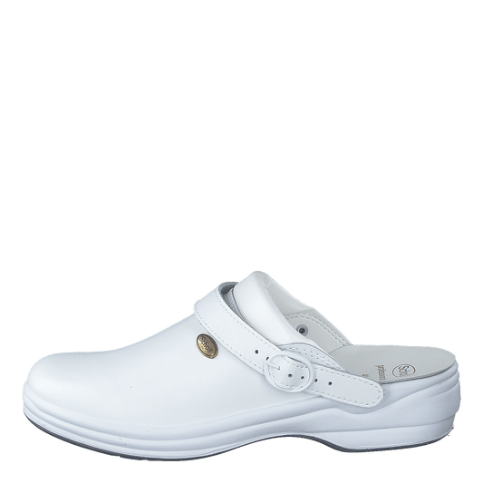 New Bonus White