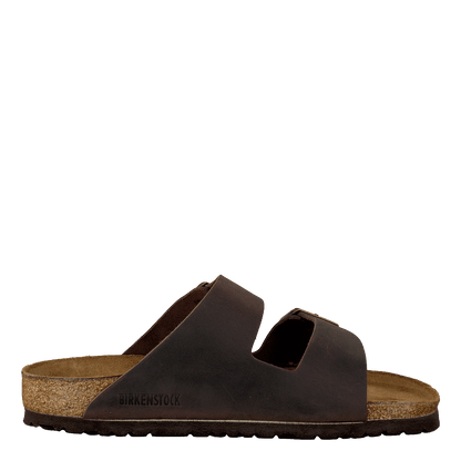 Arizona Regular Natural Leather Oiled - Habana