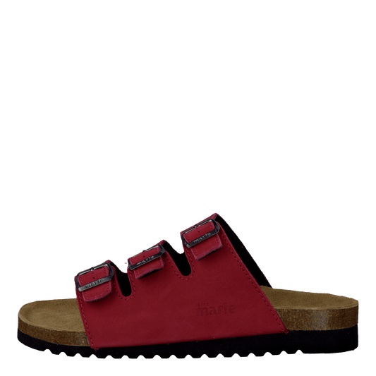 Shell Red