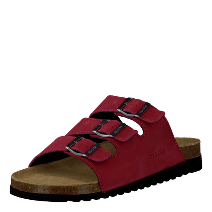 Shell Red