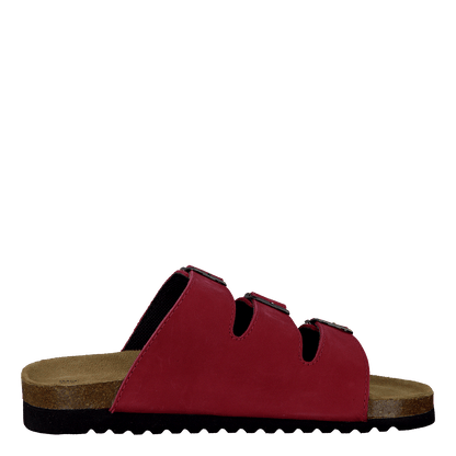 Shell Red