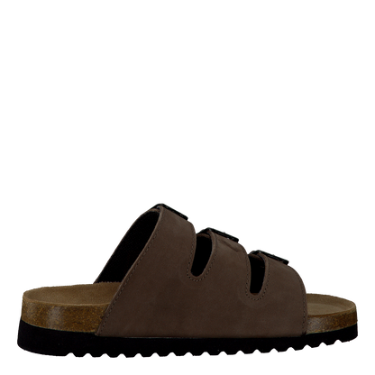 Shell Brown