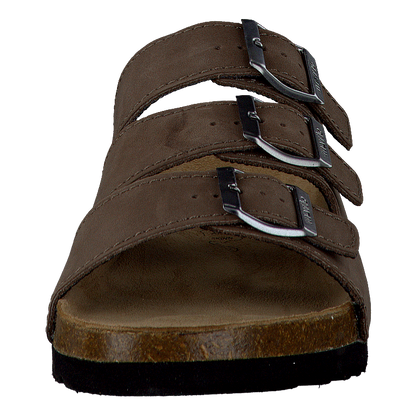 Shell Brown