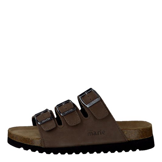 Shell Brown