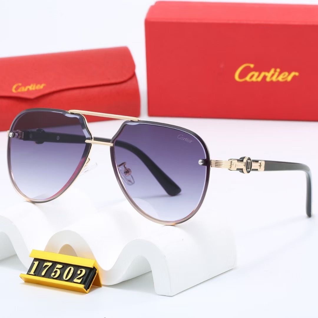 Vanguard Aviator Sunglasses