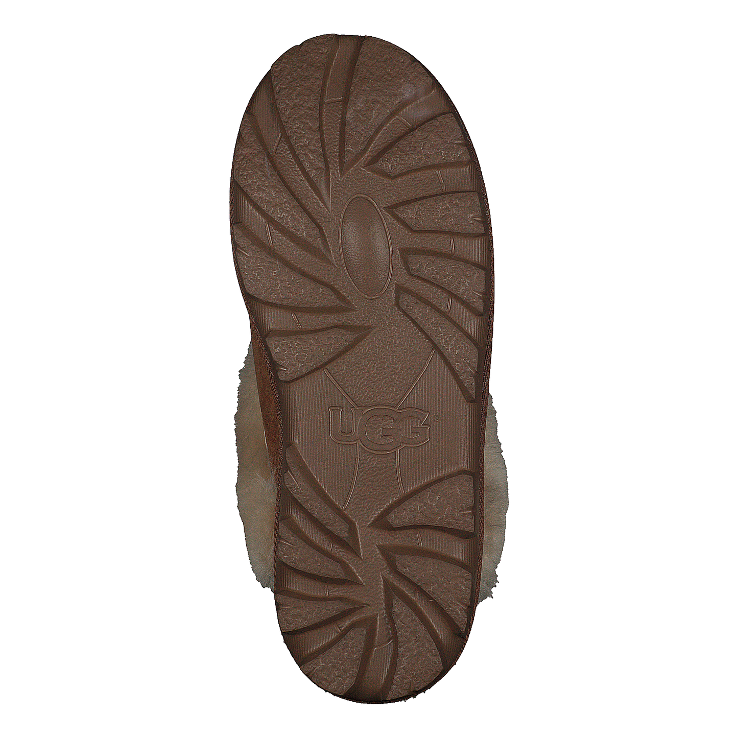 Coquette Chestnut