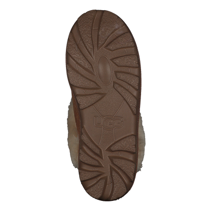 Coquette Chestnut